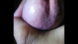 To dam ban nhieu tinh voi quan paljon em nhi