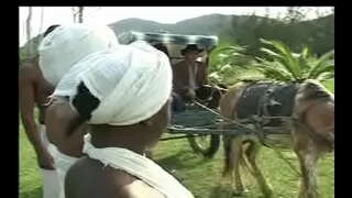 Чорні з Сензалі